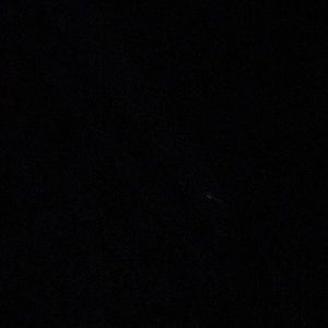 Meet your Posher, Brittney